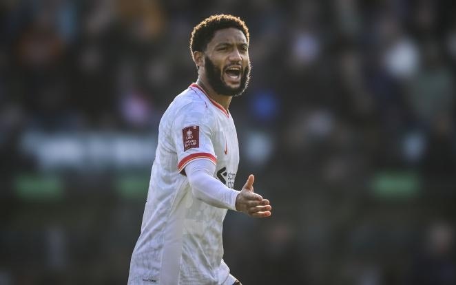 极的打法 极的打法